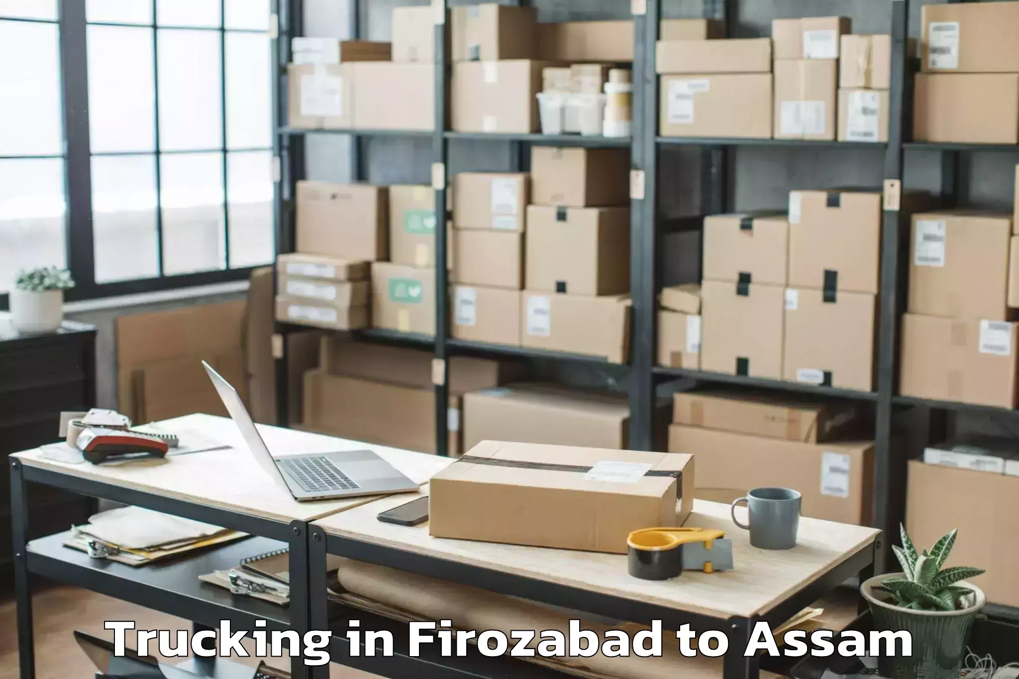 Easy Firozabad to Soalkuchi Trucking Booking